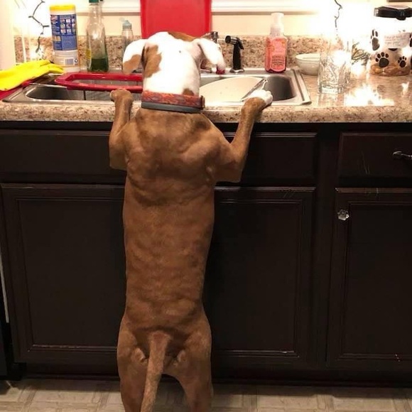 Meet your Posher, CathyBunny - Picture 7 of 16